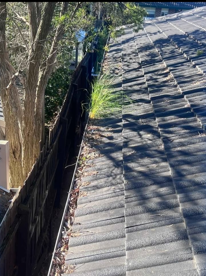 Gutter cleaning work